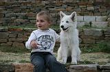ENFANT ET CHIEN 457